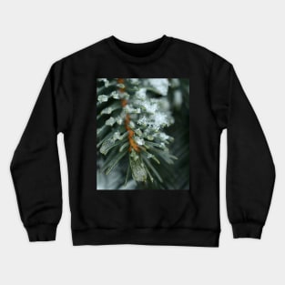 Pine Crewneck Sweatshirt